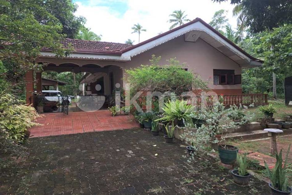 Land with House for Sale in Makandura, Pannala. | ikman