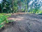 Land with House for Sale in Narammala