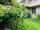 Land with House for Sale in Nugegoda