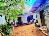 Land With House For Sale In Panadura