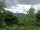 Land with House for Sale in Peradeniya,kalugamuwa