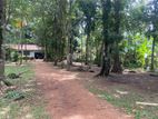 Land with House for Sale in Raddolugama Seeduwa