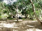 Land with House for Sale in Shanthagama, Anuradhapura