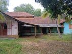 Land with House for Sale in Tellipalai