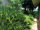 Land with House for Sale in Udaperadeniya