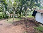 Land with House for Sale in Uluvitike, Galle