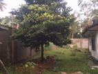 Land with House for Sale in Weligama