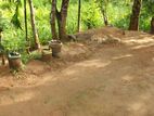 Land with House for Sale - Udaperadeniya