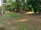 Land with House for Sale – Nagoda, Kaluthara