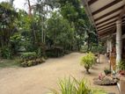 Land With House For Sale Negombo