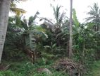 Land With House For Sale Nikadalupotha