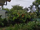 Land with House for Sale Nugegoda