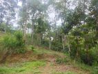 Land with House for Sale Panvila