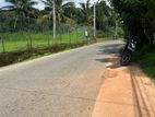 Land with house For Sale Peradeniya