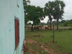 Land with House for Sale in Jaffna
