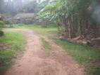 Land with House for Sale – Yanthampalawa, Kurunegala