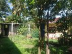 Land with House Sale in Colombo Bopitiya