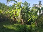 Land with House Sale In Matara