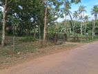 Land with House Sale in Negombo Godigamuwa