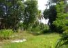 Land with Old House for Rent - Pepiliyana (EM672) - Widok 4