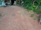 Land with old house for sale