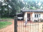 Land with Old House for Sale – Homagama, Magammana (EM1534)
