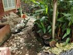 Land with Old House for Sale in Attidiya