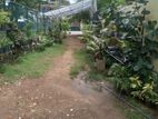 Land with Old House for Sale in Dehiwala