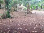 Land With Old House for Sale in Dehiwala Nedimala