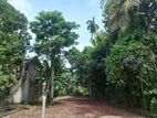 Land with Old House for SALE in Pamunuwa Road, Maharagama