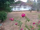 Land with old house for Sale in Wattala