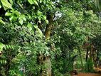Land for Sale in Kandy