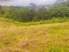 Land with Old ( Livable) House for Urgent Sale in Matara