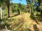 Land with Paddy Field for Sale in Halloluwa, Peradeniya.