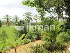 Land with Paddy field for Sale in Thammita, Gampaha