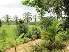 Land with Paddy field for Sale in Thammita, Gampaha