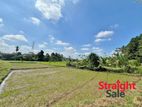 Land with Paddy View for Sale in Malabe [LS 06]