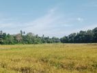 Land with Paddy Views Inland Dickwella -Code ADD 708