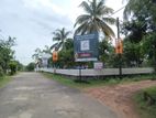 Land with peaceful environment and highly appreciation value