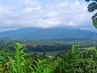 Land with Stunning 230-Degree Panoramic Views – Haragama, Kandy