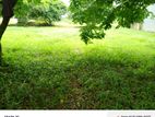 Lands for sale Atigala