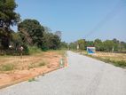 Lands for Sale - Dabulla