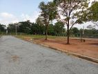 Lands for Sale Dabulla