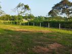 Lands for Sale Facing to Anuradhapura Colombo Road