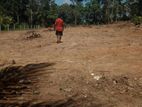 Lands for Sale Horana