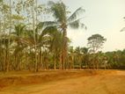 Lands for Sale in Ahangama