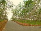 lands for sale in Ahangama