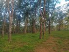 Lands For Sale In Ahangama