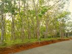 Lands for sale in Ahangama