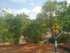 Lands for sale in Ambalangoda